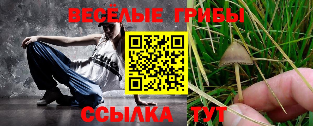 Кстово  Псилоцибиновые грибы ЛСД  купить наркоту  Вход с VPN 