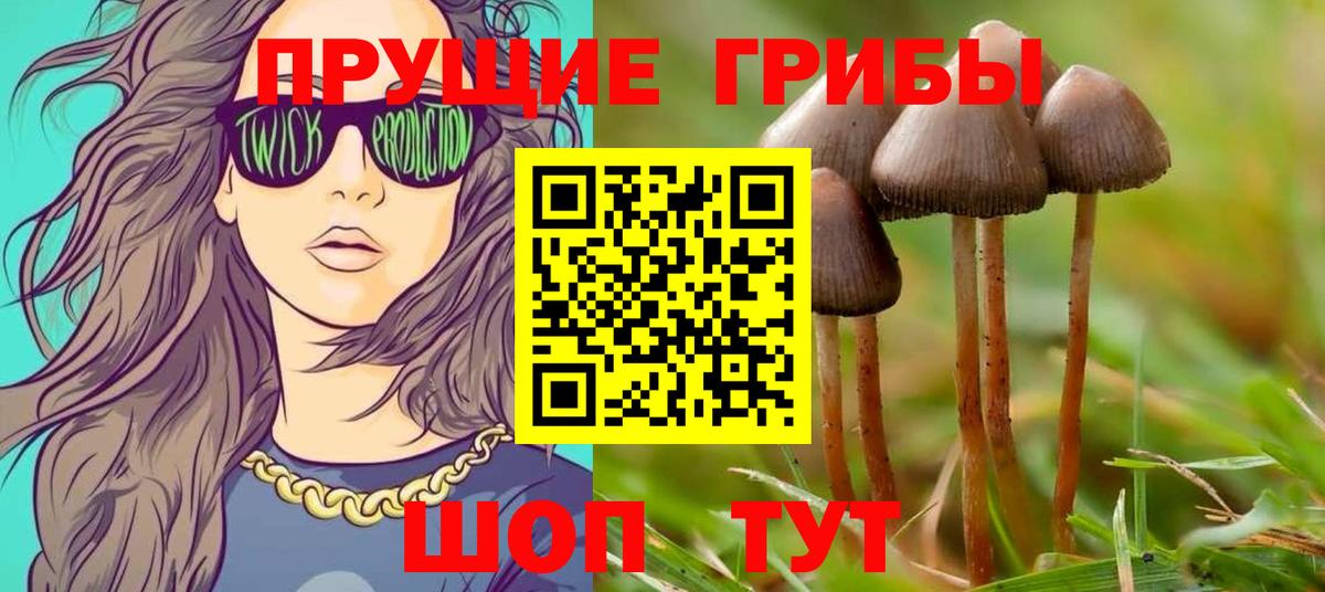 Галлюциногенные грибы мухоморы Кстово